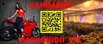 PSILOCYBIN Гусиноозёрск